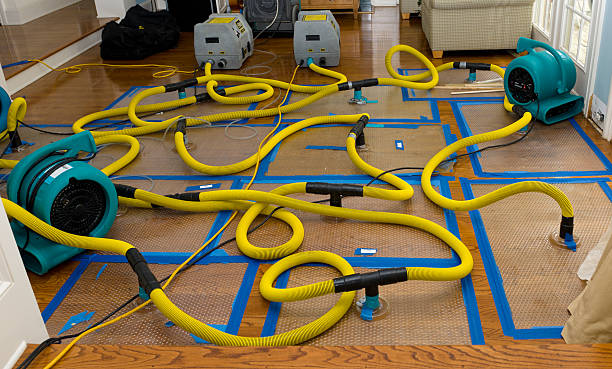 Professional Water Damage Repair technician working in Rosston, TX